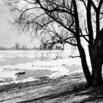 Eisgang auf dem Rhein, ca. 1930