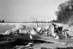 Rheinufer bei Oberkassel im Winter 1956 Rheinufer bei Oberkassel im Winter 1956